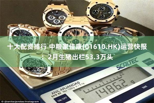 十大配资排行 中粮家佳康(01610.HK)运营快报：2月生猪出栏53.3万头