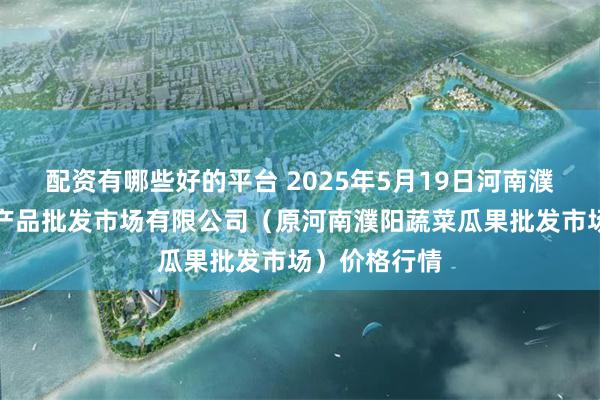 配资有哪些好的平台 2025年5月19日河南濮阳宏进农副产品批发市场有限公司(原河南濮阳蔬菜瓜果批发市场)价格行情