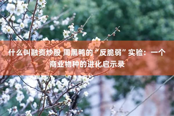 什么叫融资炒股 周黑鸭的“反脆弱”实验：一个商业物种的进化启示录