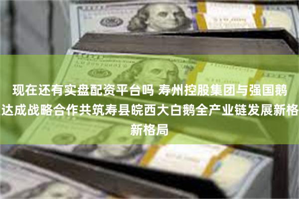 现在还有实盘配资平台吗 寿州控股集团与强国鹅业达成战略合作共筑寿县皖西大白鹅全产业链发展新格局