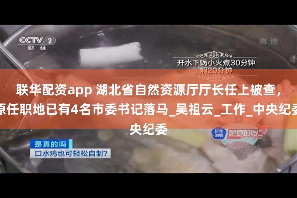联华配资app 湖北省自然资源厅厅长任上被查，原任职地已有4名市委书记落马_吴祖云_工作_中央纪委