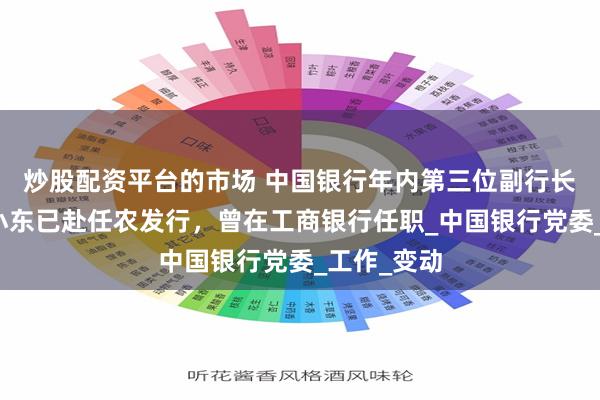 炒股配资平台的市场 中国银行年内第三位副行长离任！张小东已赴任农发行，曾在工商银行任职_中国银行党委_工作_变动