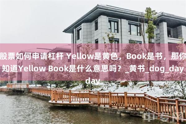 股票如何申请杠杆 Yellow是黄色，Book是书，那你知道Yellow Book是什么意思吗？_黄书_dog_day