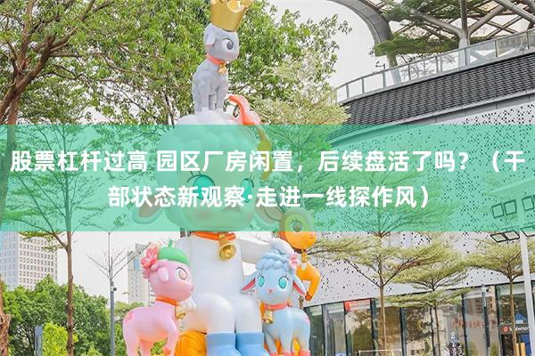股票杠杆过高 园区厂房闲置，后续盘活了吗？（干部状态新观察·走进一线探作风）