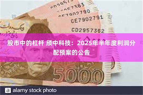 股市中的杠杆 颀中科技：2025年半年度利润分配预案的公告