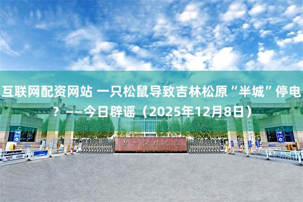 互联网配资网站 一只松鼠导致吉林松原“半城”停电？——今日辟谣（2025年12月8日）